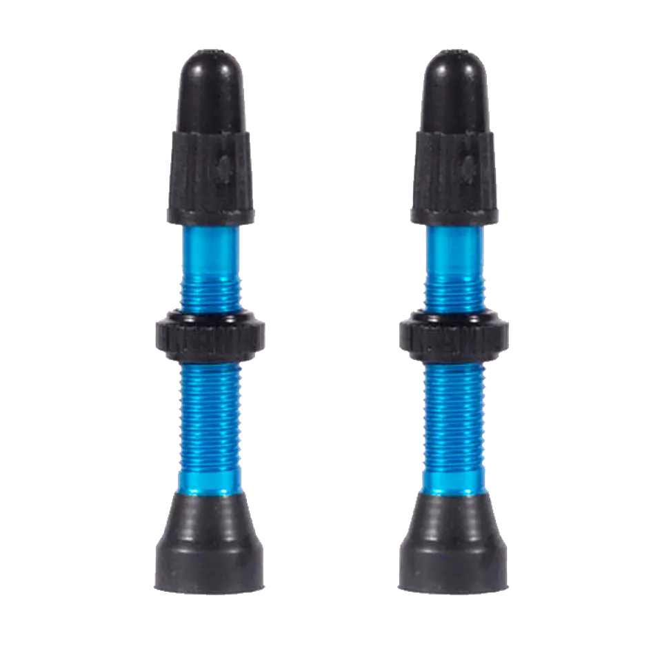 VALVULA FRANCESA TUBULAR WTB 2pcs 46MM 2