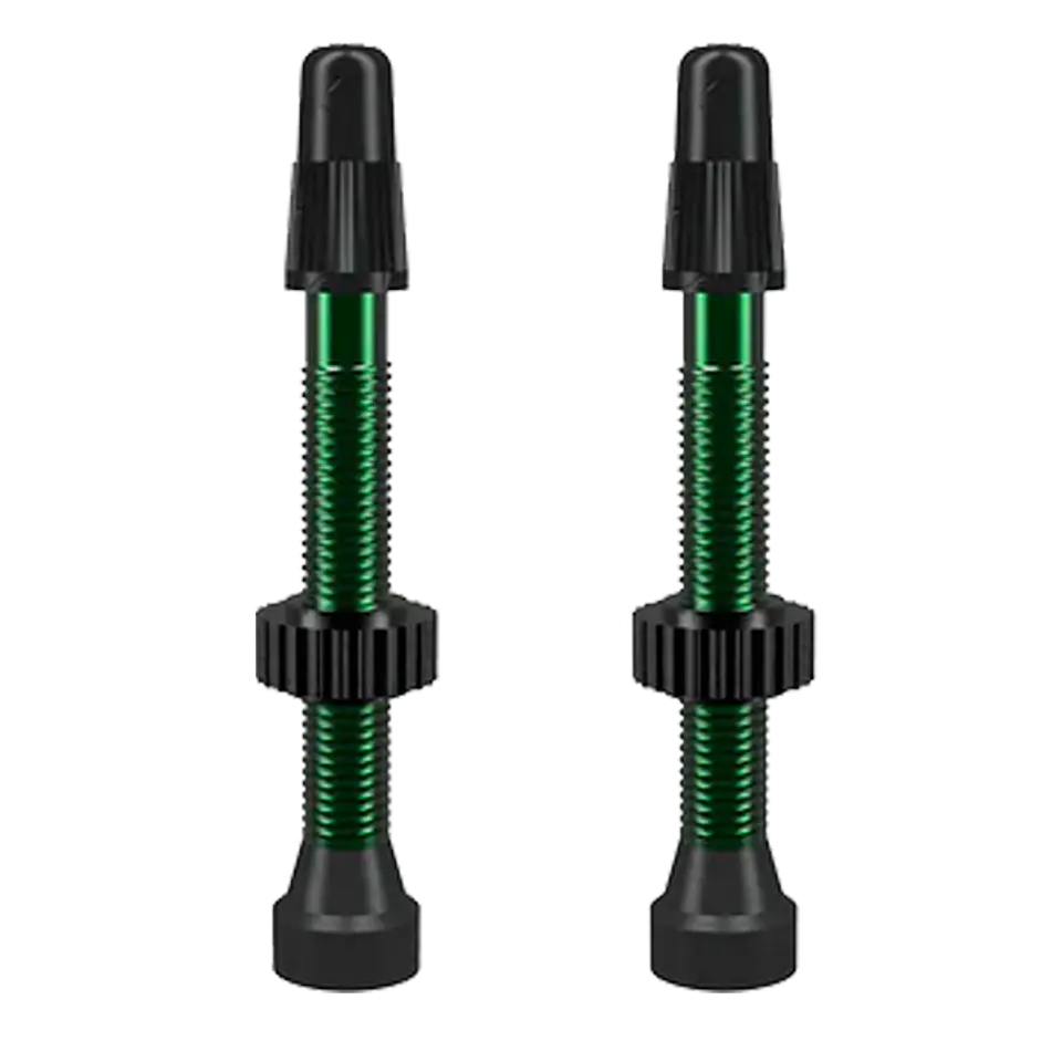 VALVULA FRANCESA TUBULAR WTB 2pcs 46MM 3