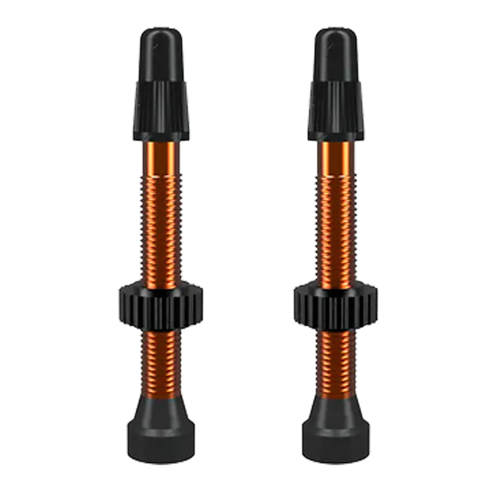 VALVULA FRANCESA TUBULAR WTB 2pcs 46MM 4