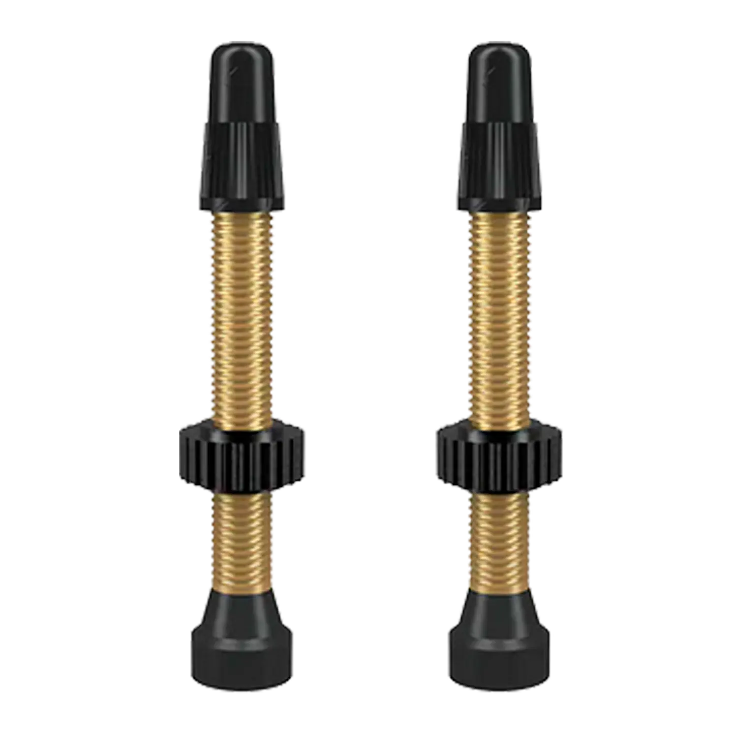 VALVULA FRANCESA TUBULAR WTB 2pcs 46MM 5