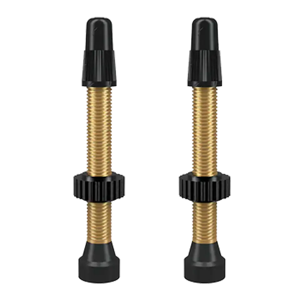 VALVULA FRANCESA TUBULAR WTB 2pcs 46MM 5