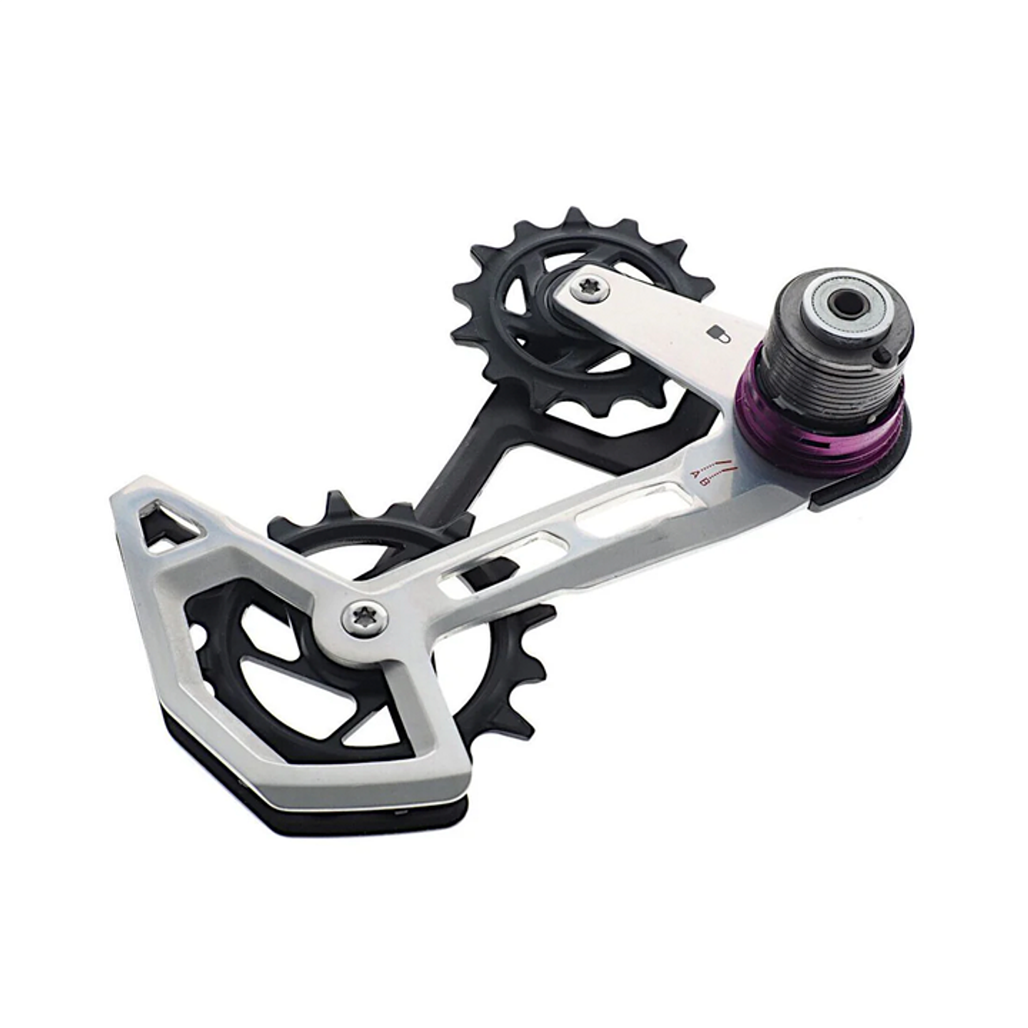REPUESTO SRAM XX T-TYPE KIT MONTAJE JAULA AXS 1