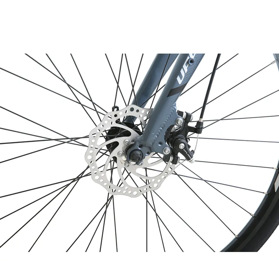 BICICLETA UPLAND LS380-M ARO 700 24V, TALLA 19 DISC MEC , AZUL 4