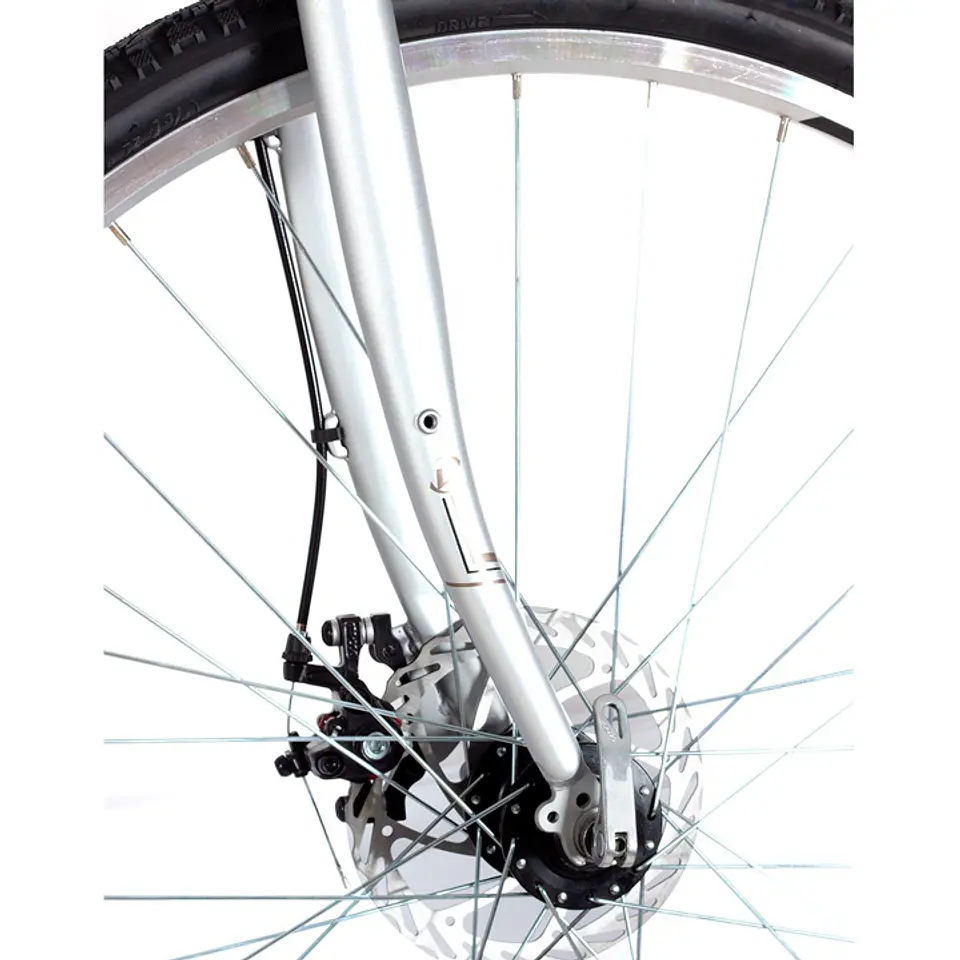 BICICLETA UPLAND BURGESS ARO 700 21V, TALLA 19 DISC MEC, GRIS 4