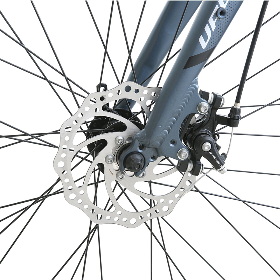 BICICLETA UPLAND LS380-M ARO 700 24V, TALLA 18 DISC MEC , AZUL 5