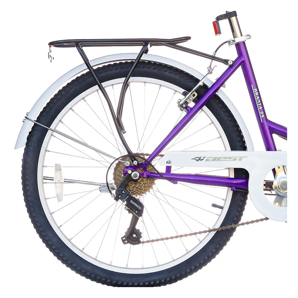 BICICLETA BEST BRANTA CITY ARO 24 ACERO 6V. V-BRAKE DAMA TALLA 16 MORADO / BLANCO 3