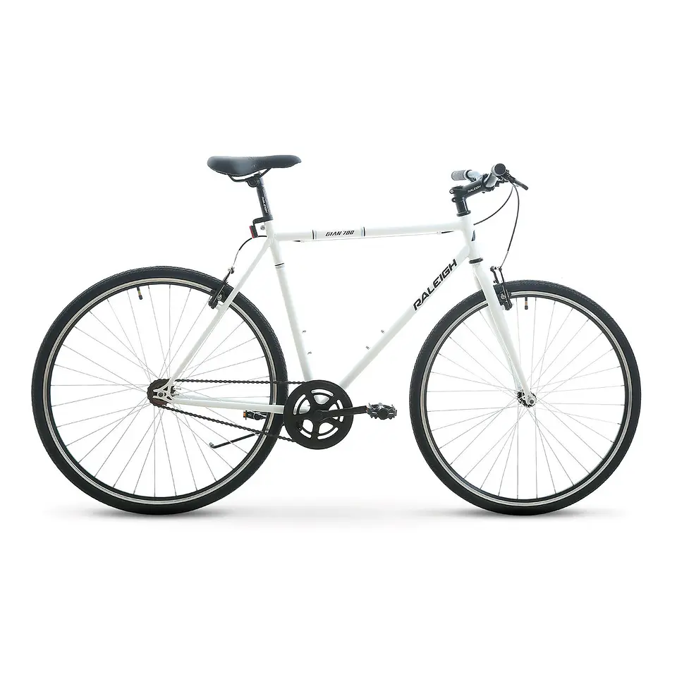 BICICLETA RALEIGH GIAN 700C  1