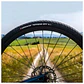 NEUMATICO VITTORIA TERRENO DRY 700X35C FOLD FULL BLACK TUBE TYPE / FOLDABLEGRAVEL ADVENTURE - Miniatura 3