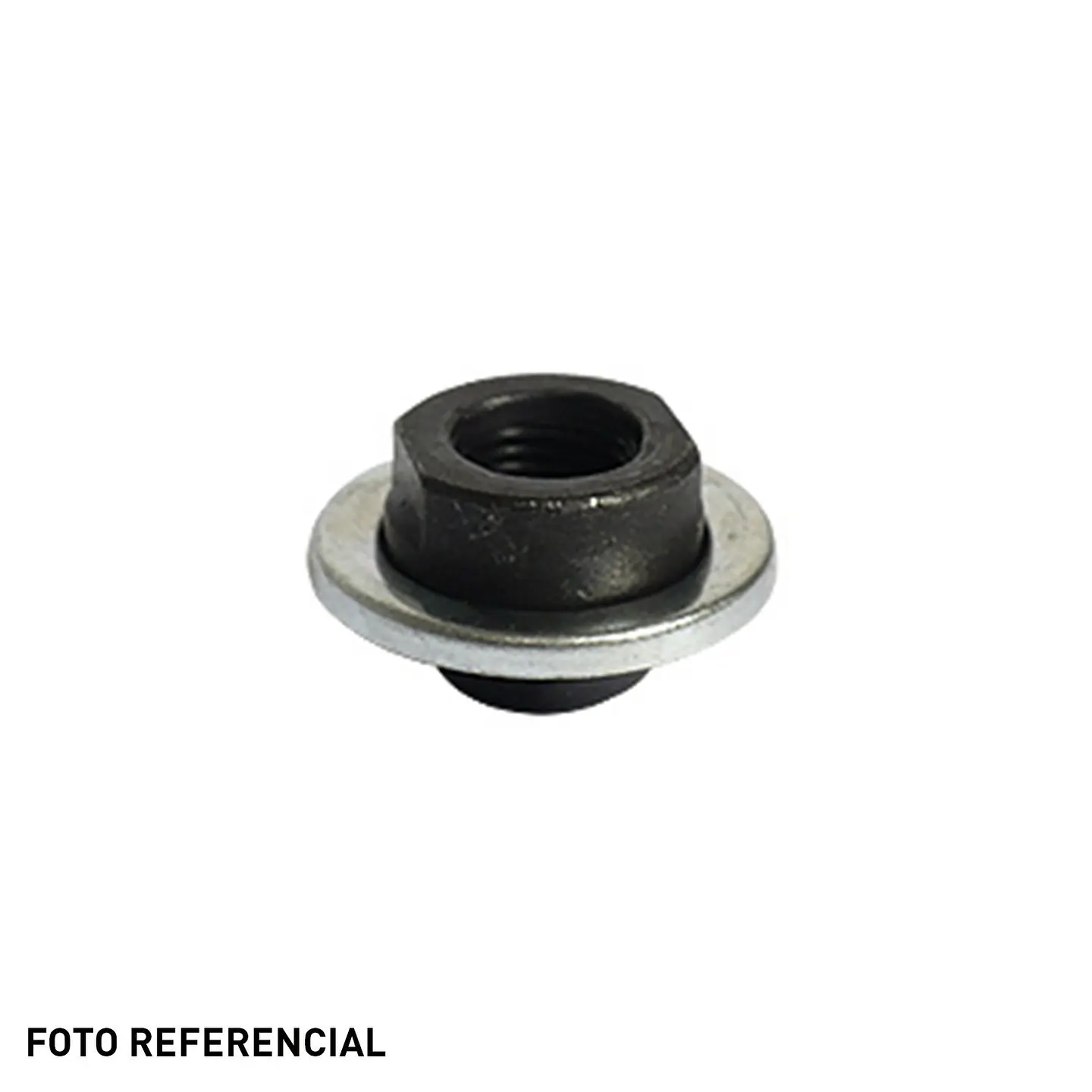 CONO DELANTERO CON CUBREPOLVO 5/16 COMPATIBLE / GENERICO ALTERNATIVO 2022 ECONOM. 1