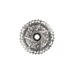 Piñón SRAM XDR Rival AXS Full Pin D1 XG-1250 12V 10-30T Plateado - Miniatura 2