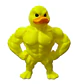 Patito Musculoso De Pie - Miniatura 1
