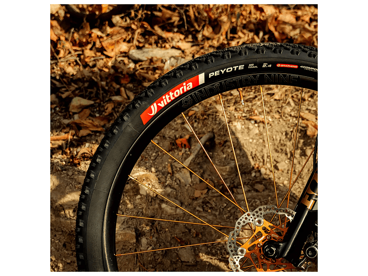 NEUMÁTICO VITTORIA PEYOTE XC TRAIL  29X2.4  BROWN TLR / FOLDABLENEW TRAIL - EBIKE READY 3