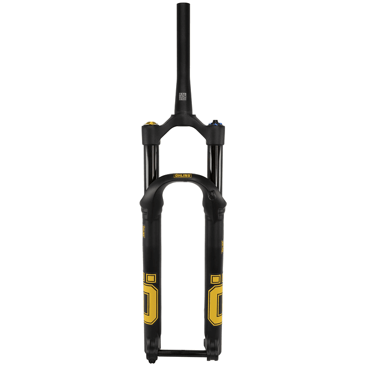 Ohlins Horquilla RXC34 m.1 Air OTX14 Remoto 29 120mm 1