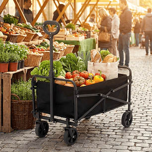 Carro para Compras Plegable Práctico y Resistente Negro