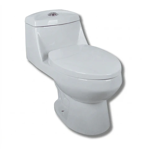WC One Piece dual flush 4 y 6 litros descarga a Piso distancia 30cm blanco