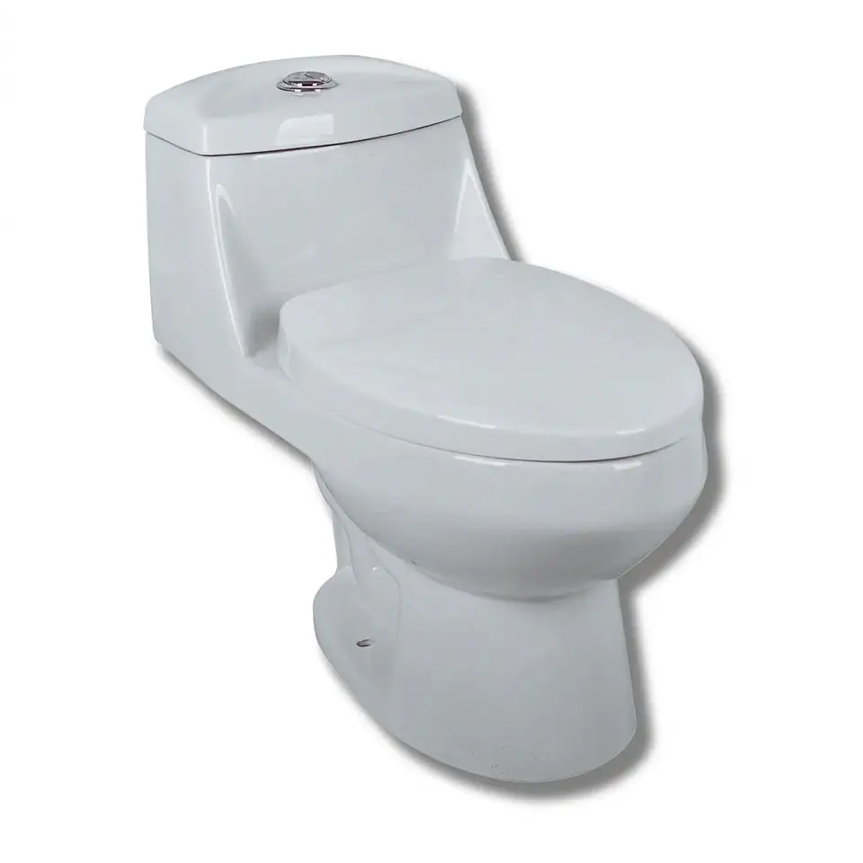 WC One Piece dual flush 4 y 6 litros descarga a Piso distancia 30cm blanco 1
