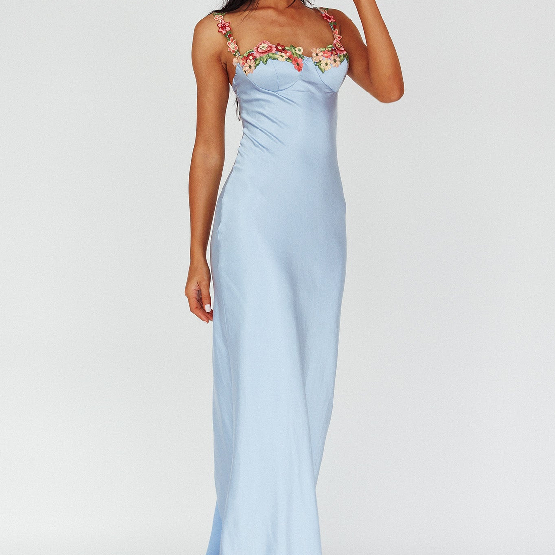 Rose Garden Floral Applique Midi Dress Blue 1