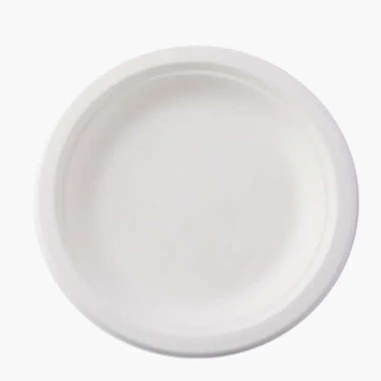 Plato Blanco 22 Cm Compostable - Biodegradable 1