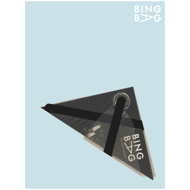 BingBag - Regular Size 4