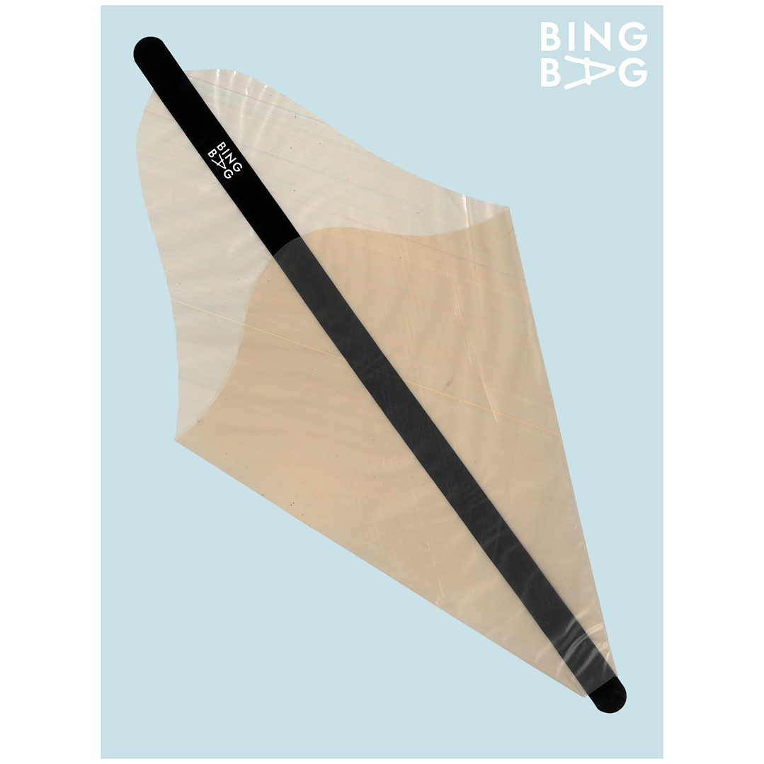 BingBag - Regular Size 6