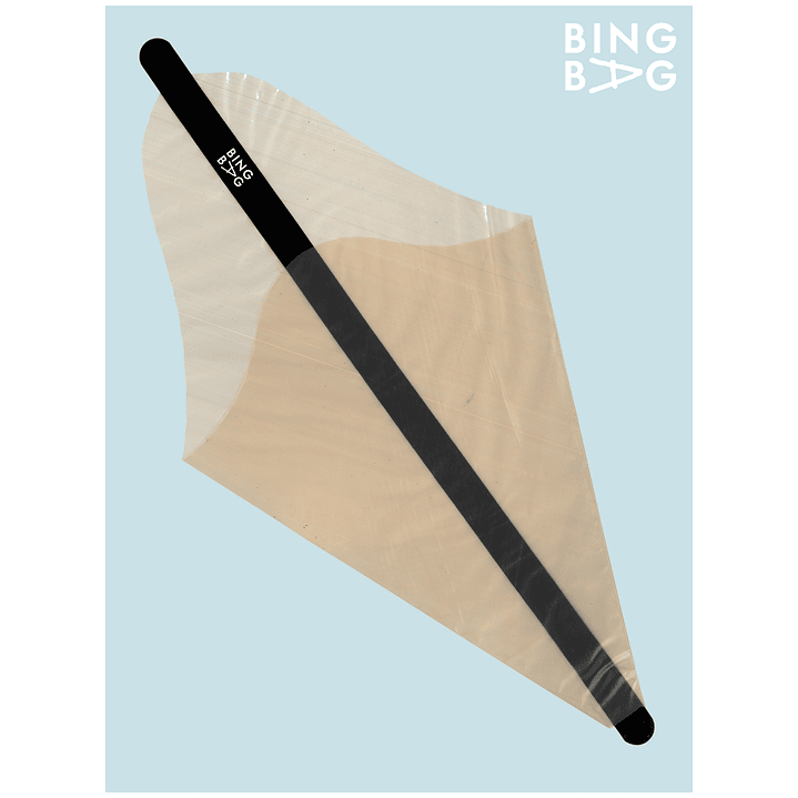 BingBag - Regular Size 6