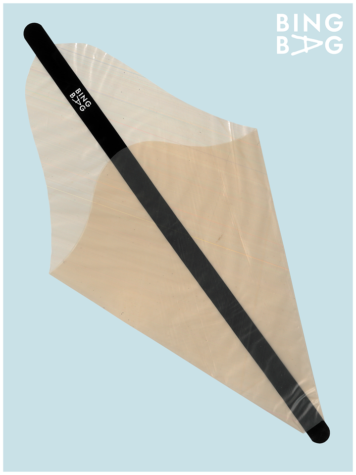 BingBag - Regular Size 6