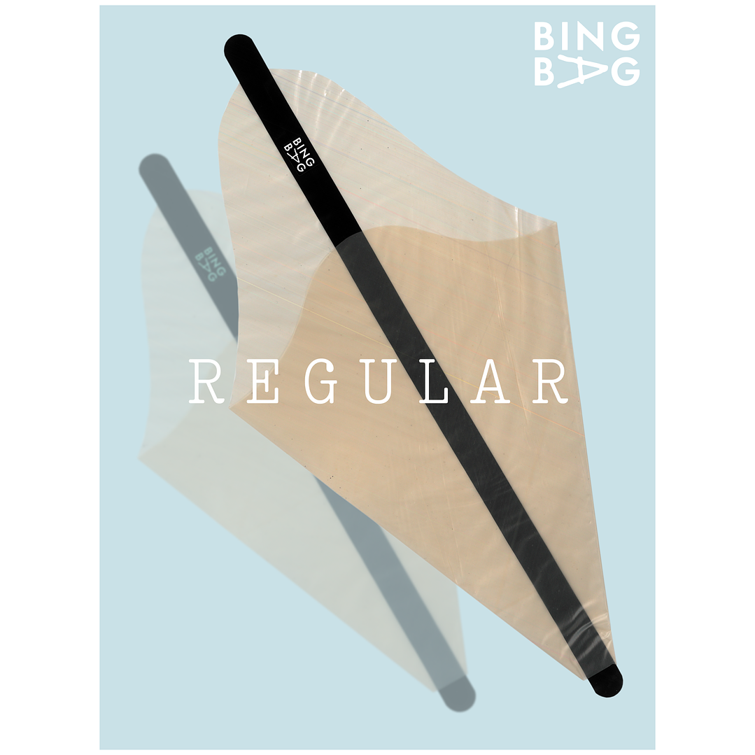 BingBag - Regular Size 1
