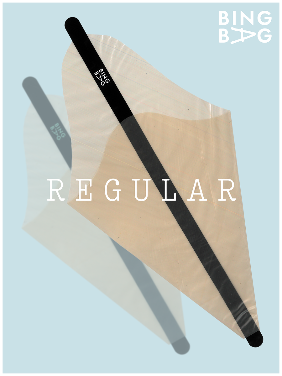 BingBag - Regular Size