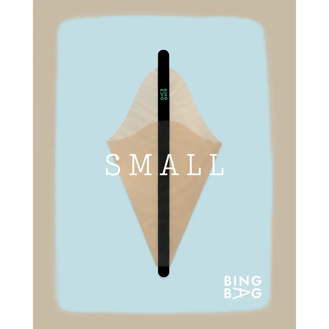 BingBag - Small Size 1