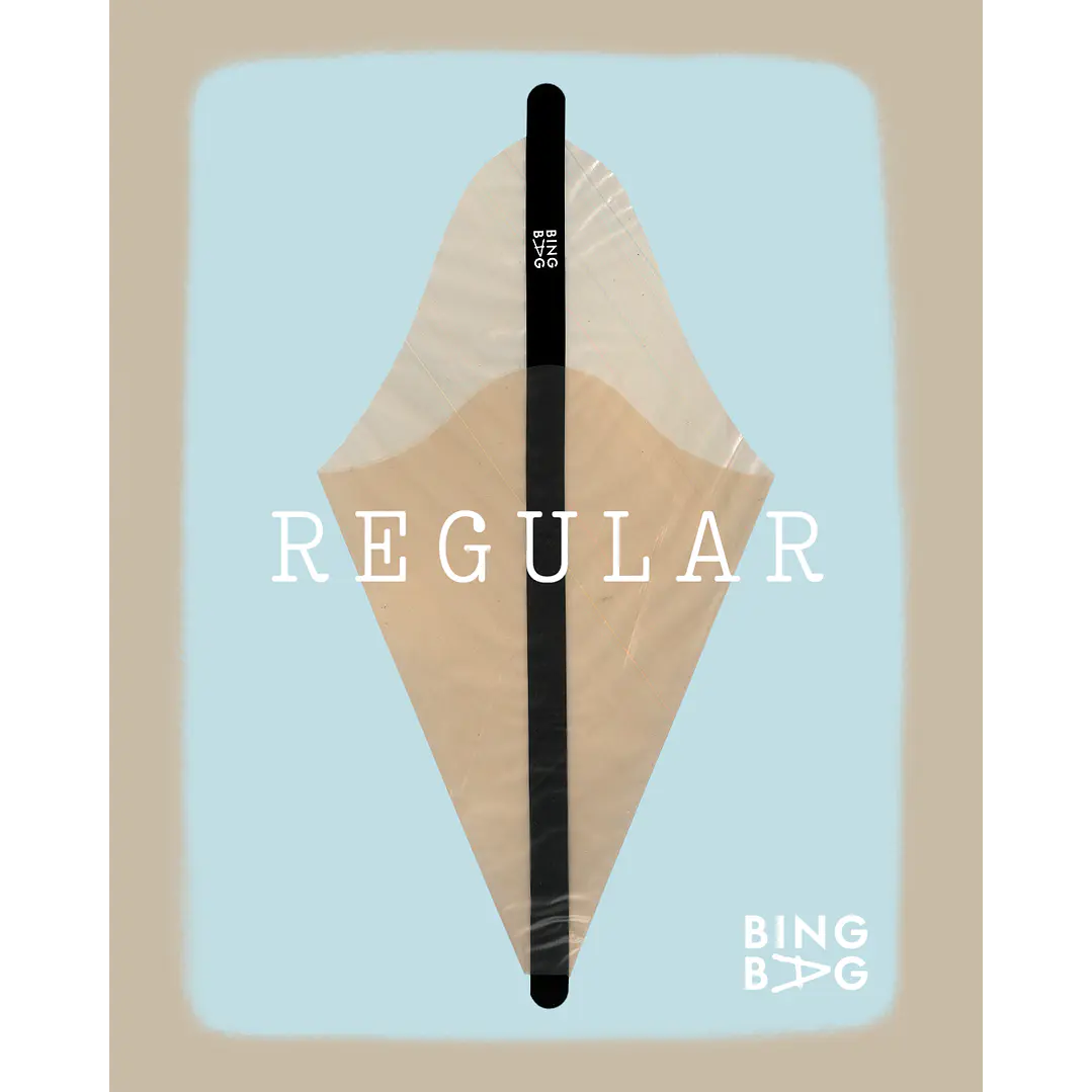 BingBag - Regular Size 1
