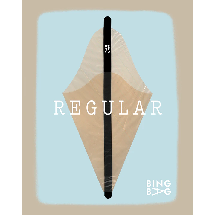 BingBag - Regular Size 1