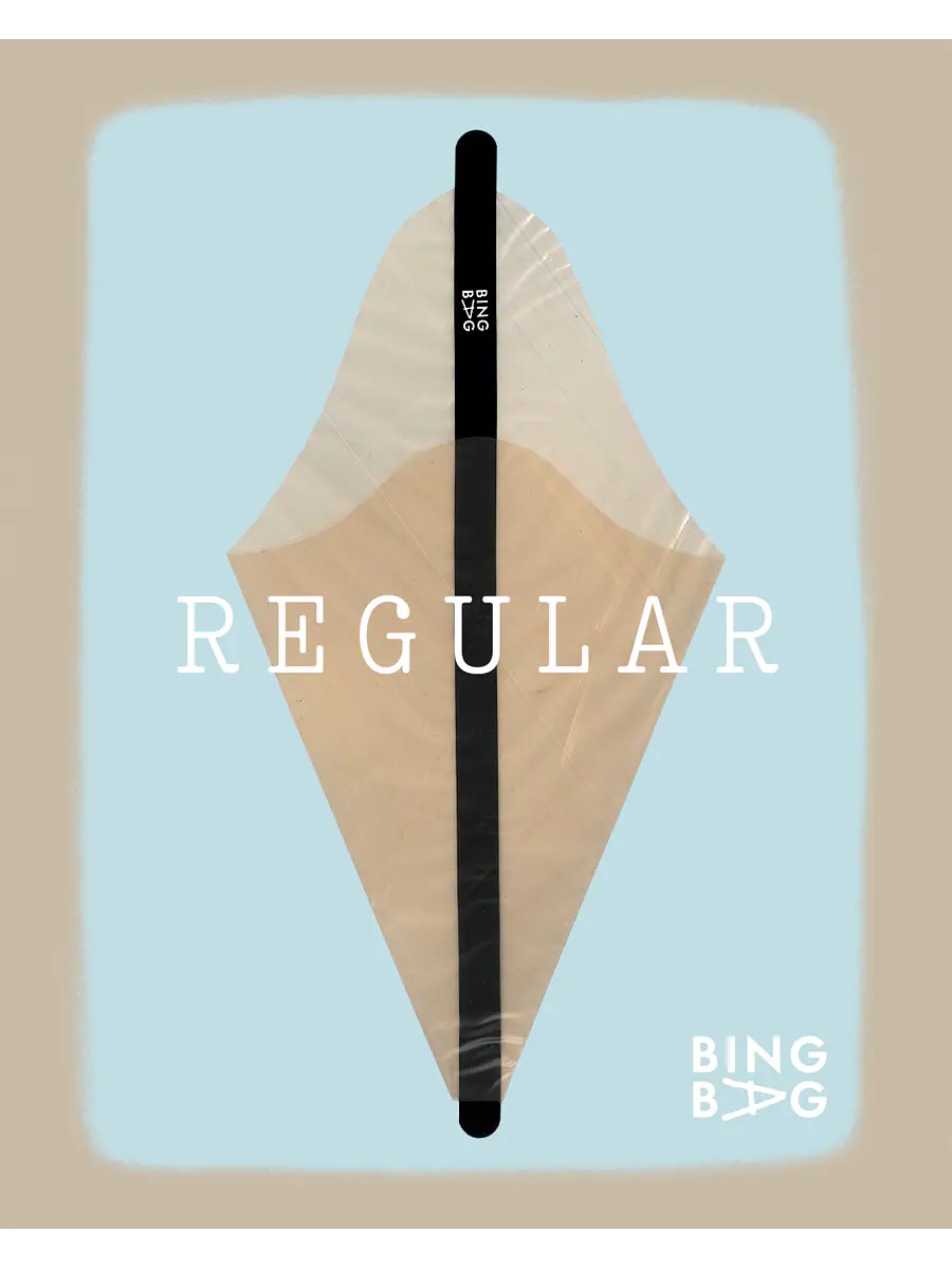 BingBag - Regular Size