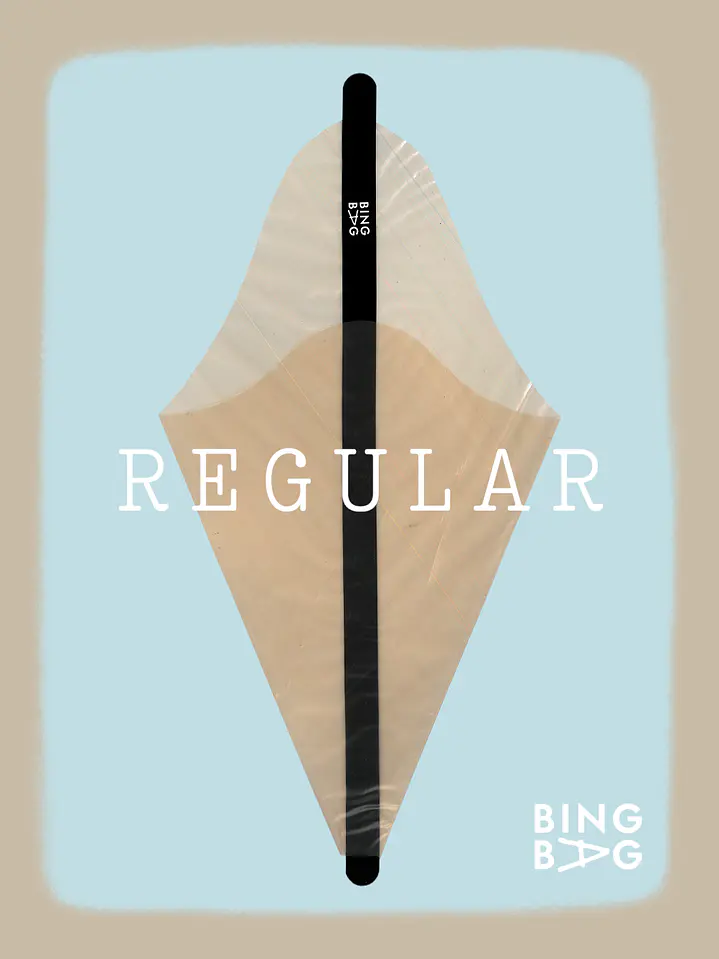 BingBag - Regular Size 1