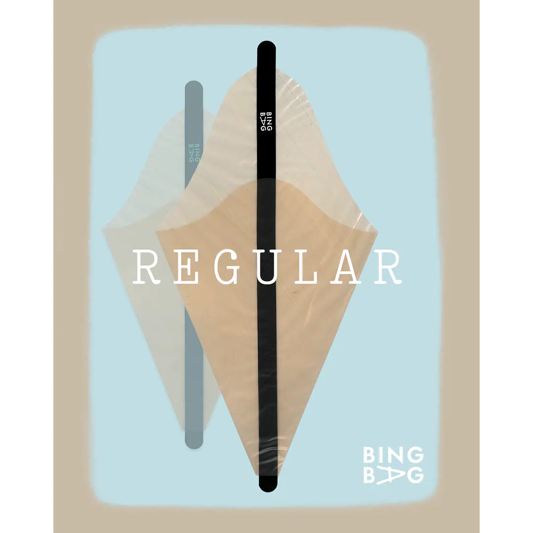 BingBag - Regular Size 4