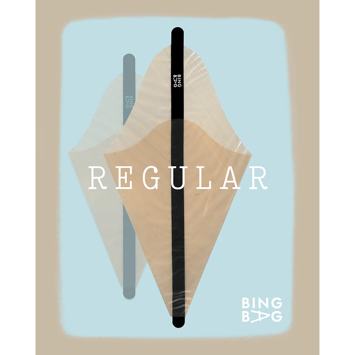 BingBag - Regular Size 4