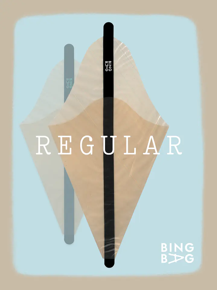 BingBag - Regular Size 4