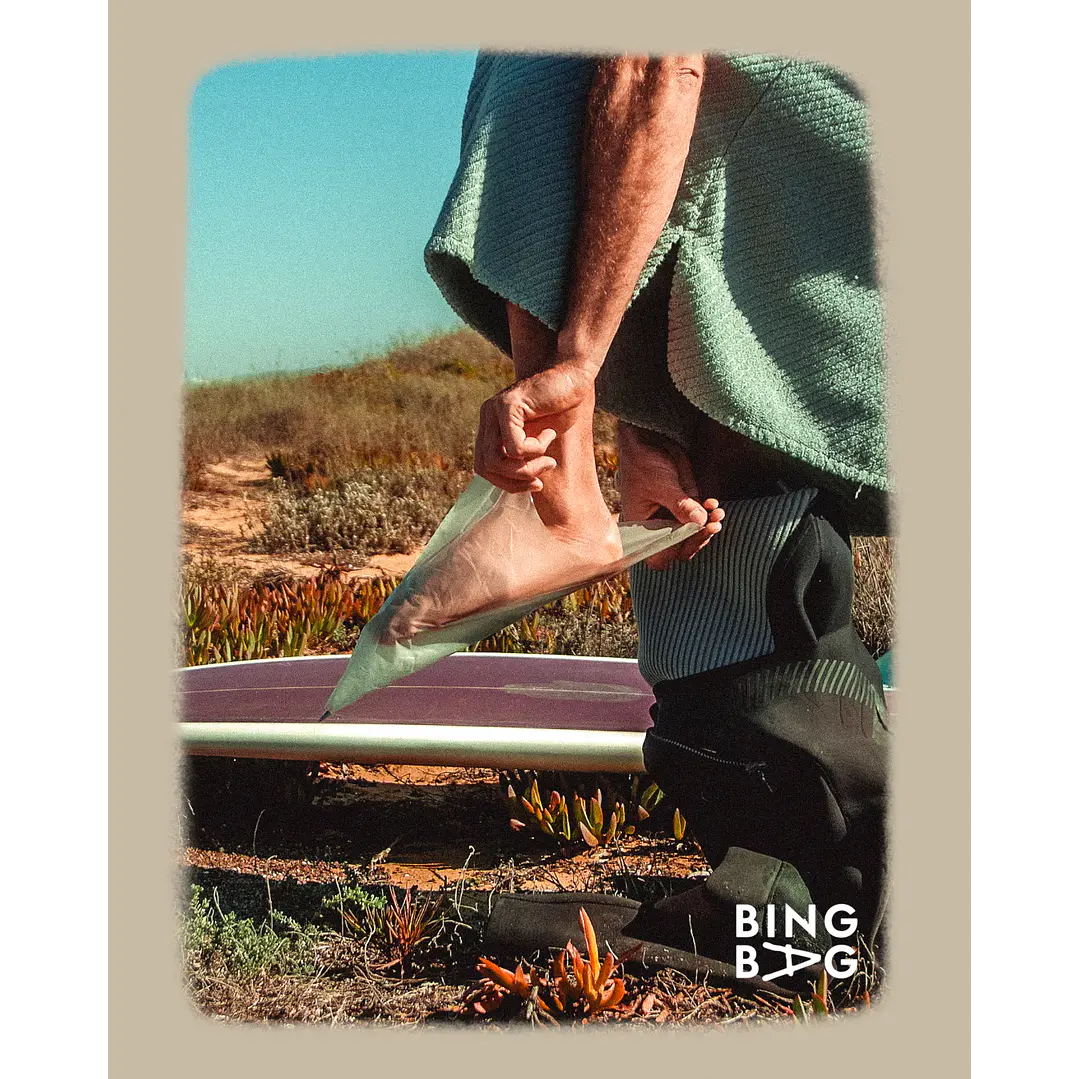 BingBag - Regular Size 2
