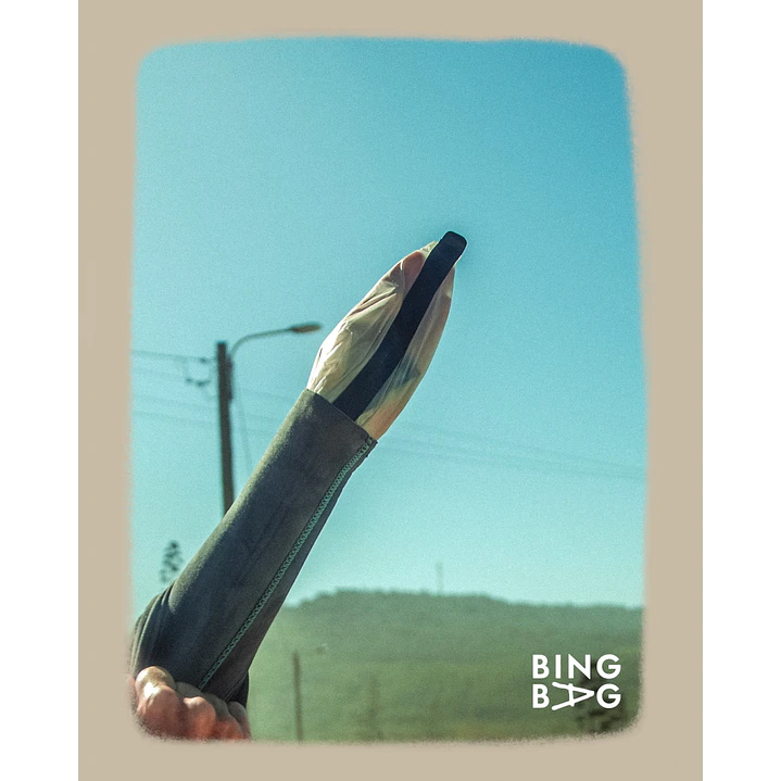BingBag - Small Size 2