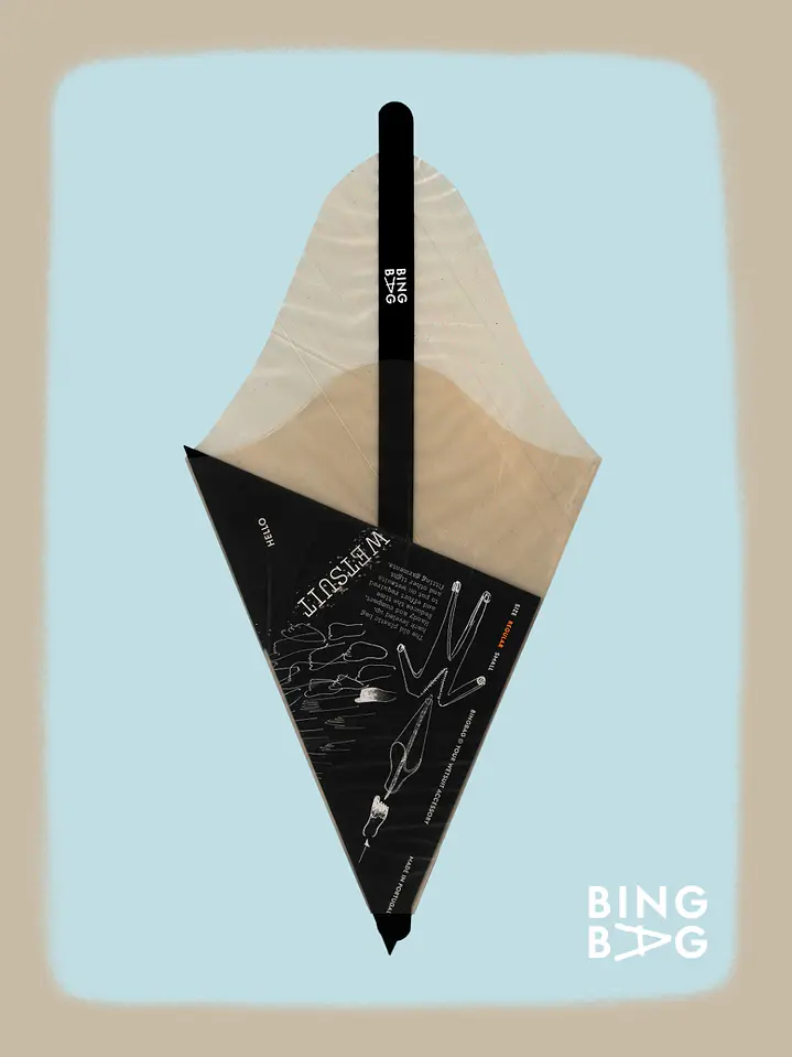 BingBag - Regular Size 6