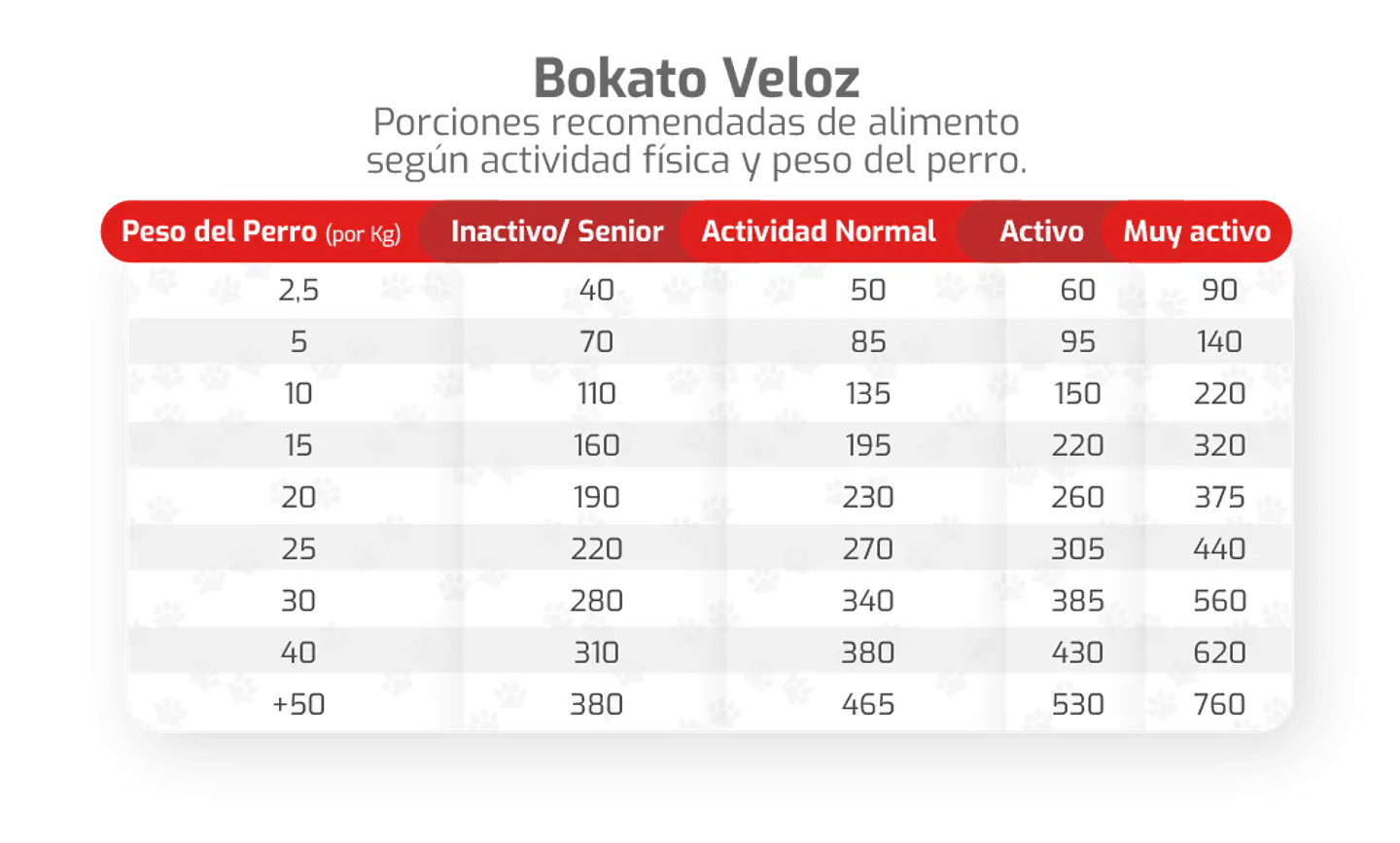 Bokato Veloz - Actividad Alta 20 Kilos 2