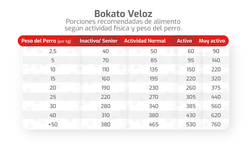 Bokato Veloz - Actividad Alta 20 Kilos 2