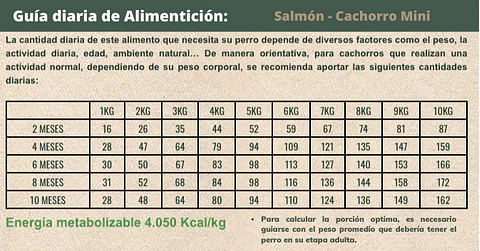 Bravery Salmon Mini Puppy alimento para perro