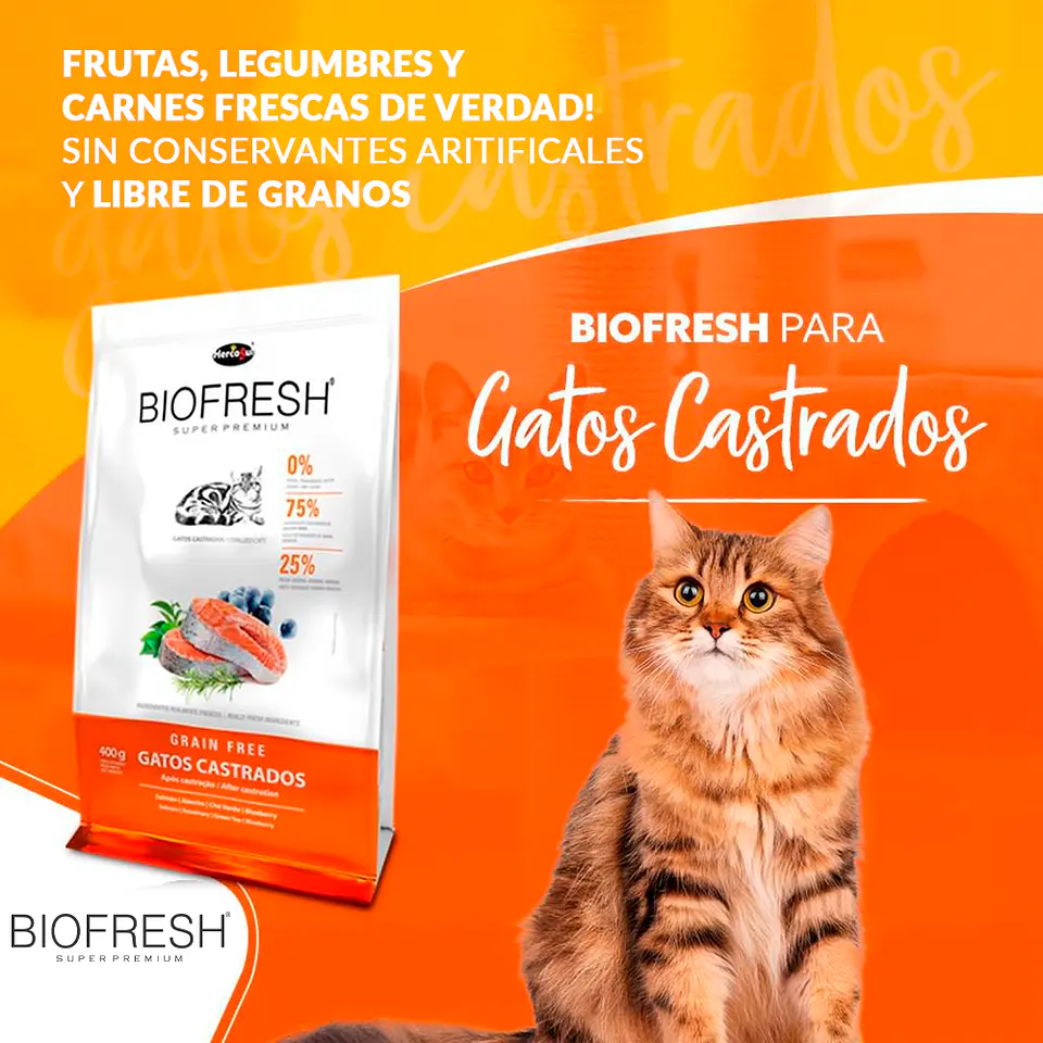 Biofresh Gato Castrado - Libre de Granos 3