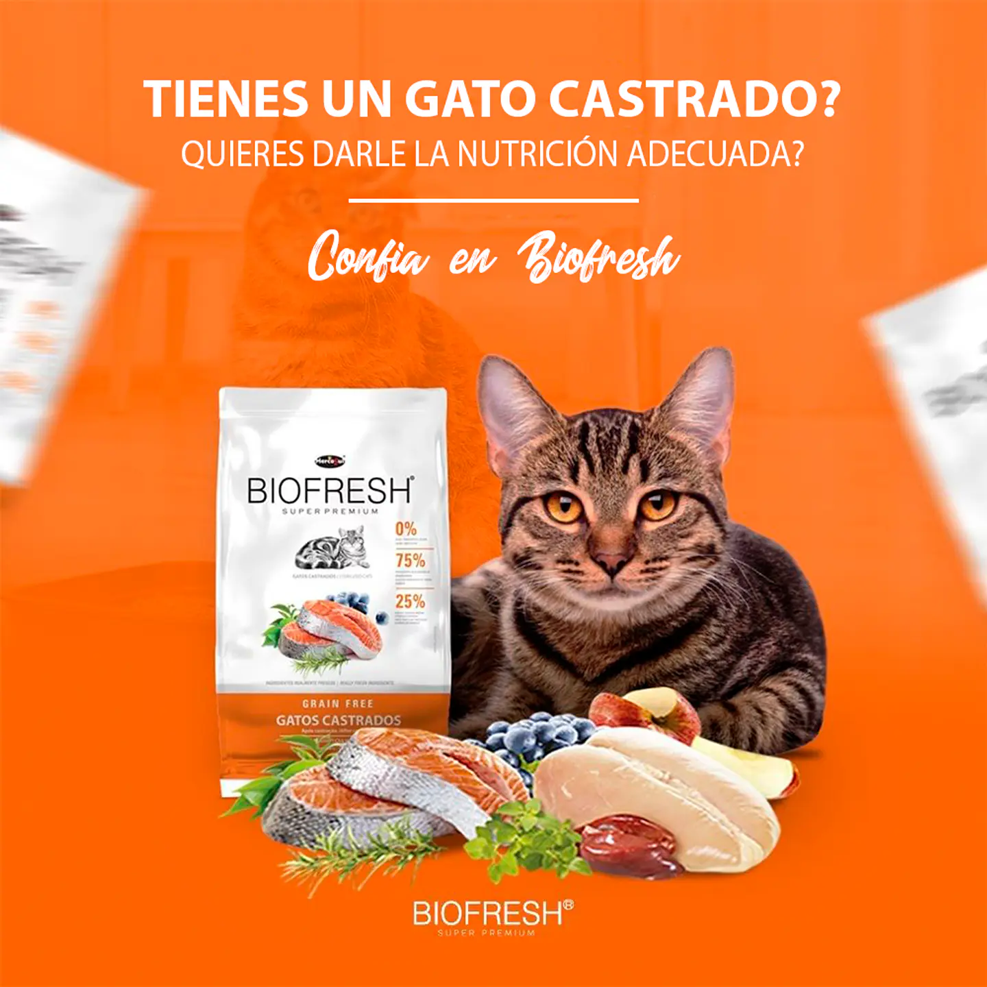 Biofresh Gato Castrado - Libre de Granos 4