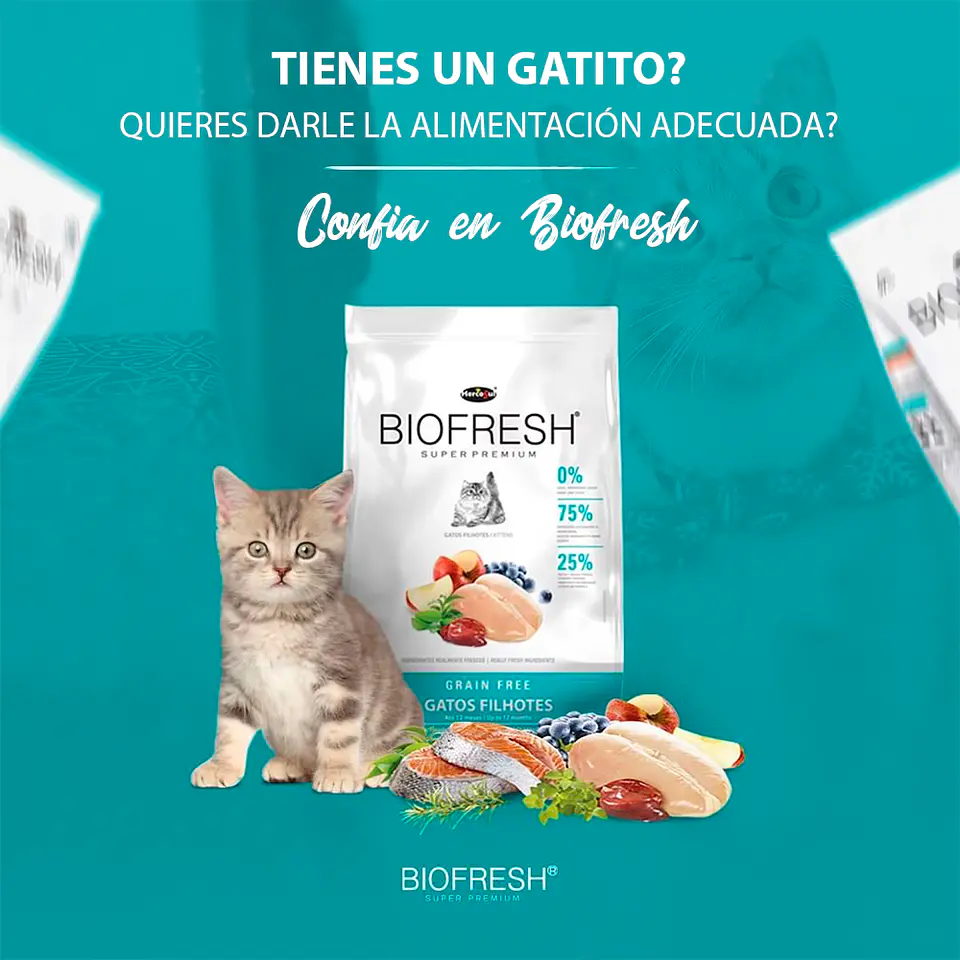Biofresh Gatitos 1.5K - Libre de Granos 4