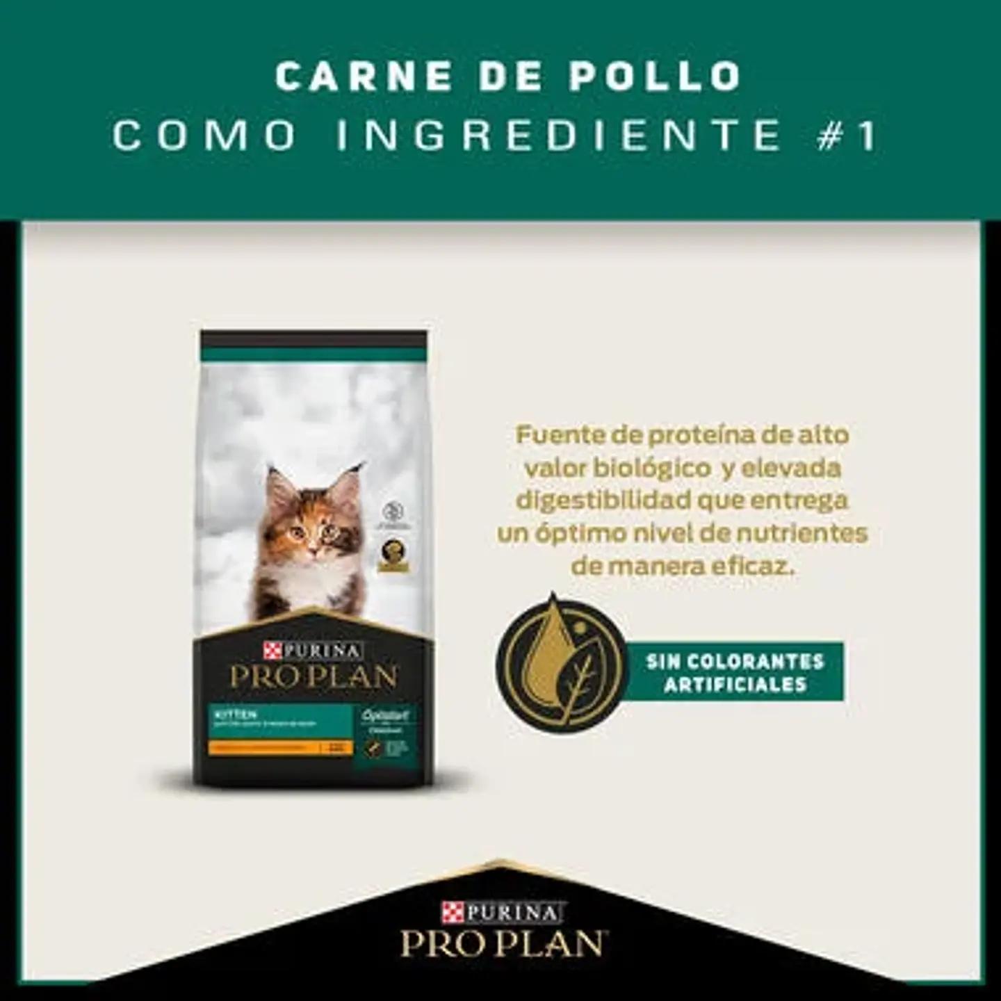 Pro Plan Gatitos hasta 12 Meses 2