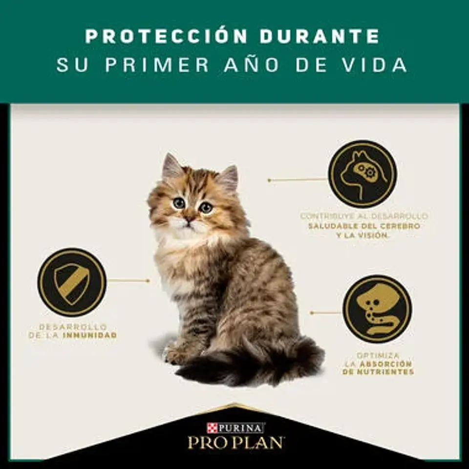 Pro Plan Gatitos hasta 12 Meses 3