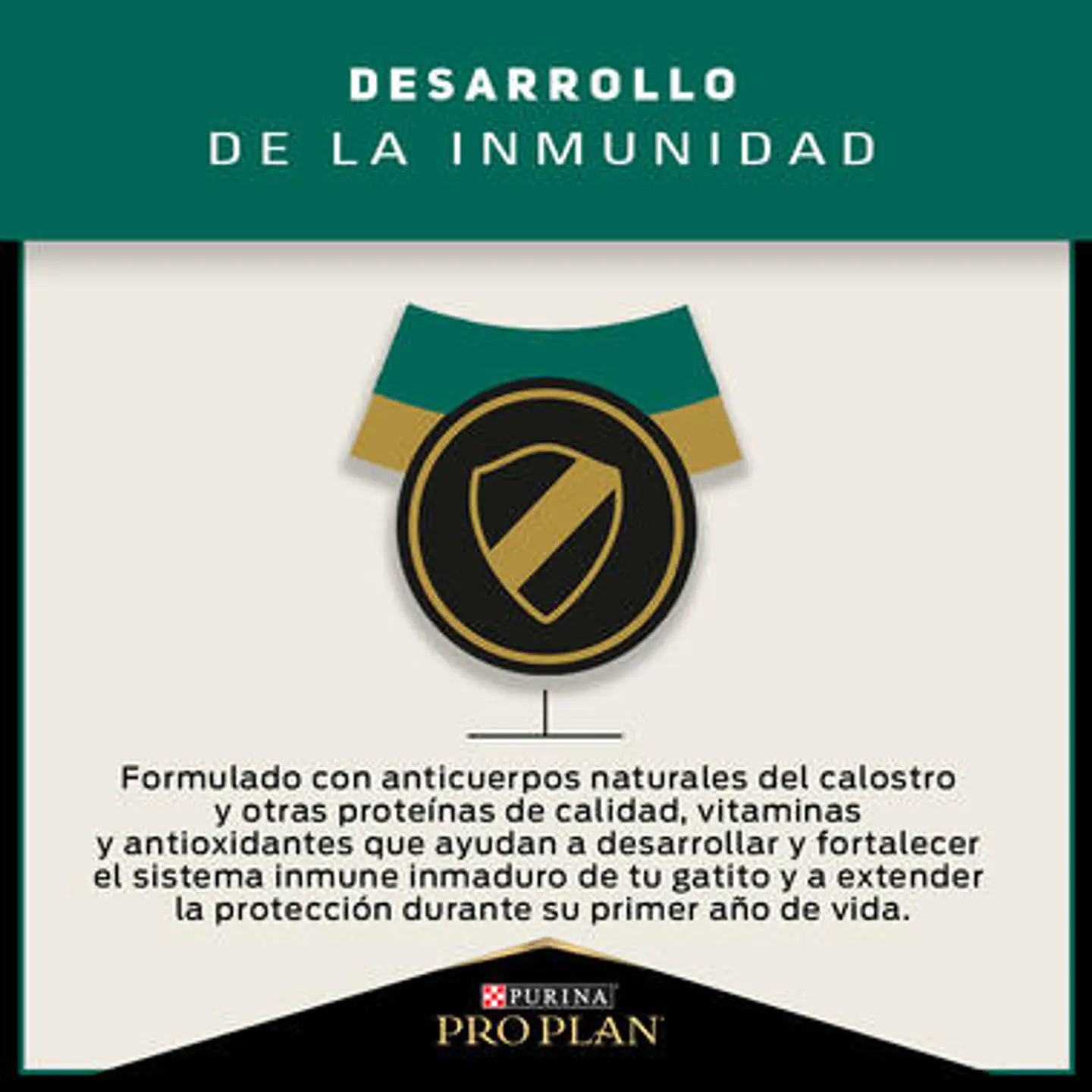 Pro Plan Gatitos hasta 12 Meses 4