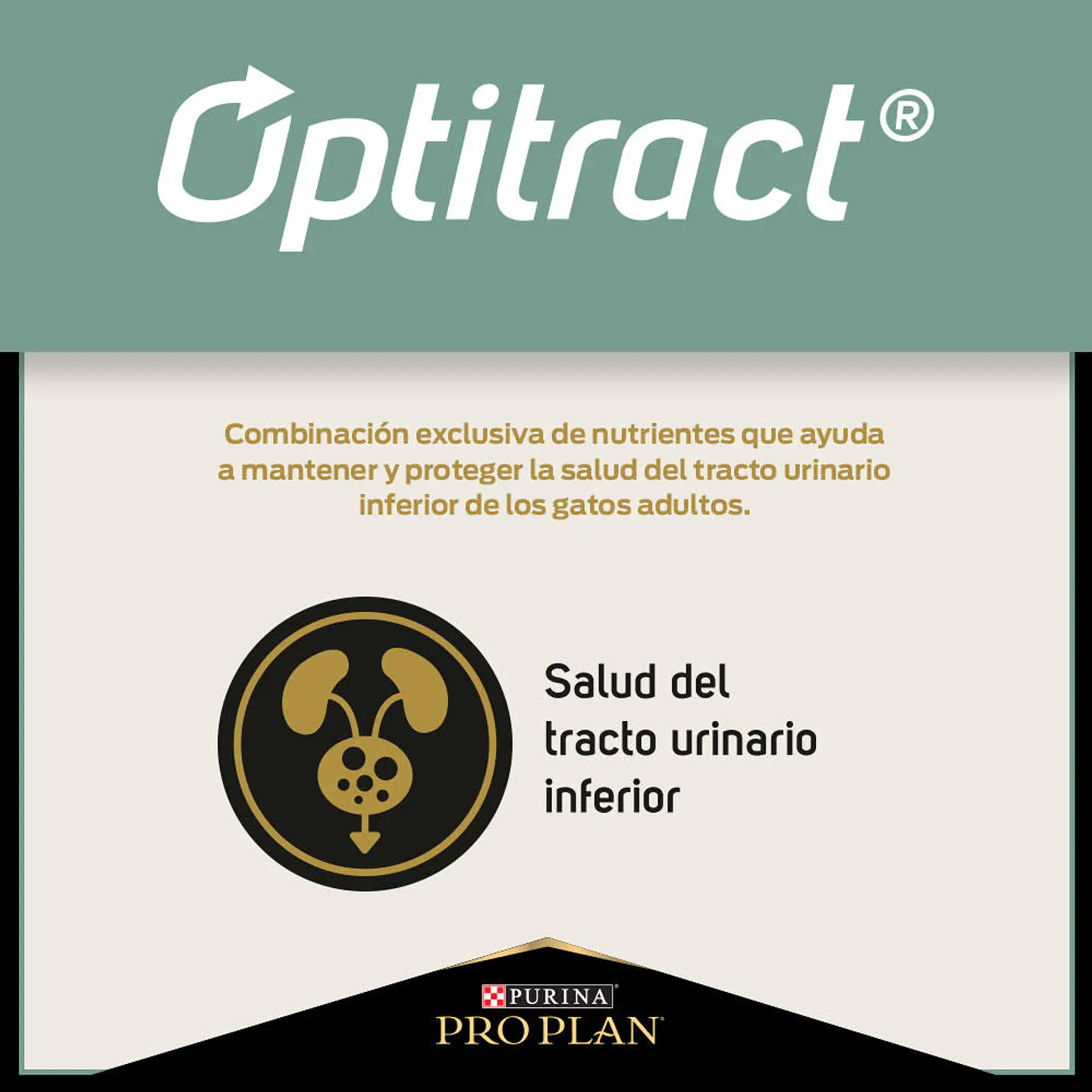 Pro Plan Gato Adulto Live Clear Control Alergenos de Pelo y Caspa 3K 2