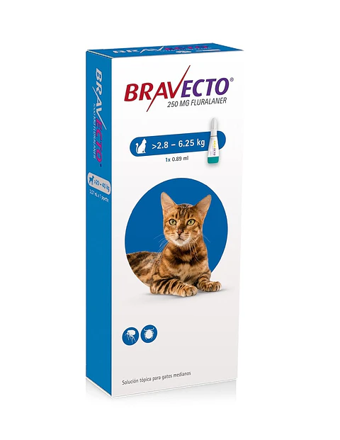 Bravecto Gato 1 Pipeta 